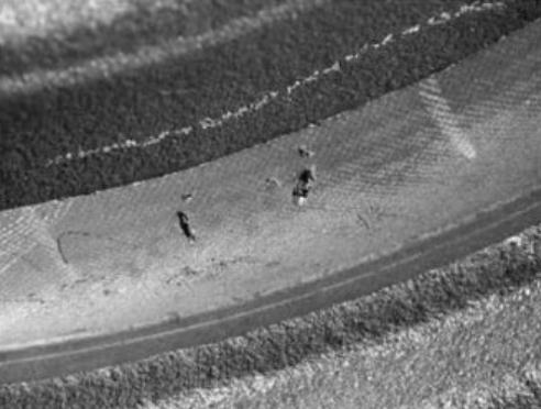 Ali se splošna kakovost ulitkov slabša? Načrt odziva za tri glavne 